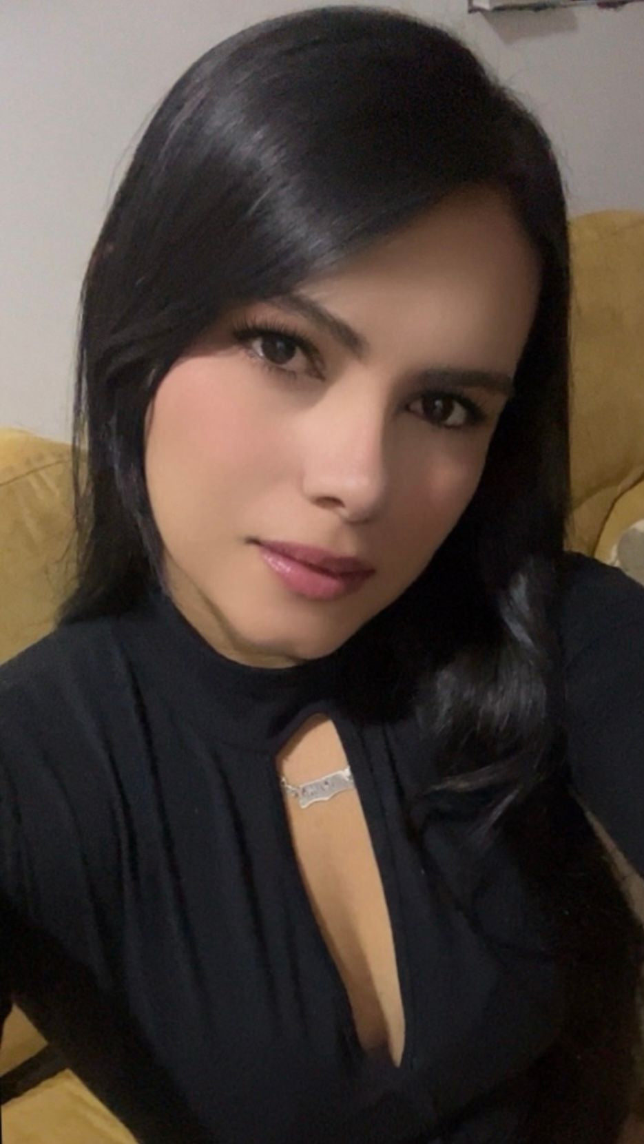 Imagen del creador N- 4
